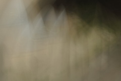 an evening on the beach 7