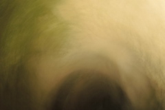 fairytales_martin_gries_06