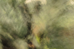 natural complexity 31
