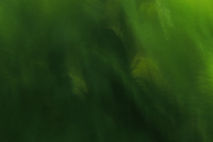 natural complexity 32