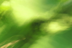 natural complexity 33