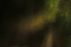 flora 3