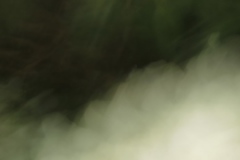 flora 5