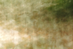 flora 8