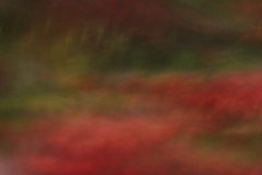 Herbst_03_klein