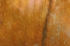 Herbst_08_klein