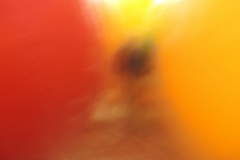 Christoph Faulhaber: "Para Social"  III