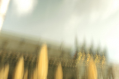 Postcard 13