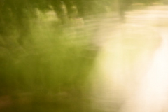 walk in the park 1