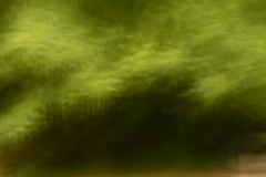 walk in the park 3