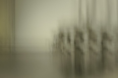 Tabula_rasa_doris_salcedo_2_Martin_Gries