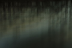 Tabula_rasa_doris_salcedo_3_Martin_Gries
