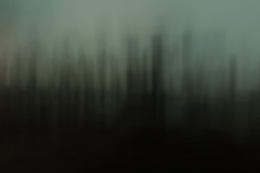 Tabula_Rasa_Doris_Salcedo_c_martin_gries_03_klein