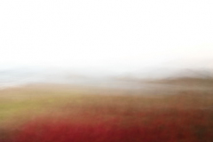 approximate landscape 03