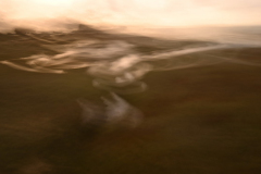 approximate landscape 04