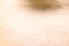 approximate landscape 07