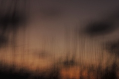 last summer evening 4
