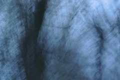 winterlicht_c_martin_gries_06