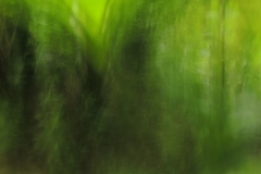 zwischen_blau_und_gelb_c_martin_gries_08