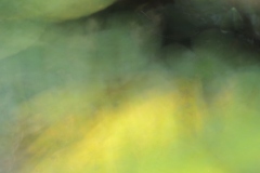 zwischen_blau_und_gelb_c_martin_gries_1