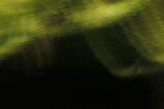 zwischen_blau_und_gelb_c_martin_gries_5
