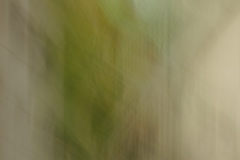 zwischen_blau_und_gelb_c_martin_gries_6