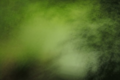 zwischen_blau_und_gelb_c_martin_gries_7